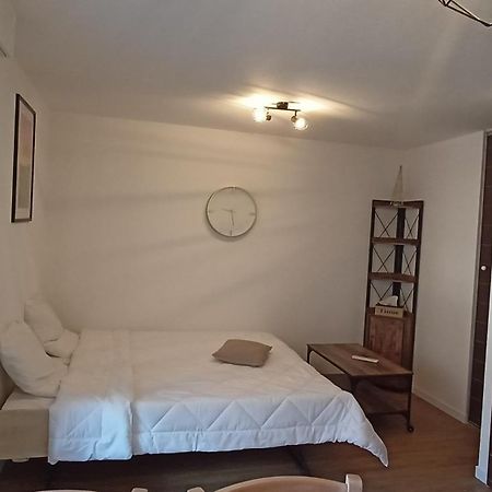 Studio Grand Balcon Montagne Ski Et Randos Luz-Saint-Sauveur Eksteriør bilde